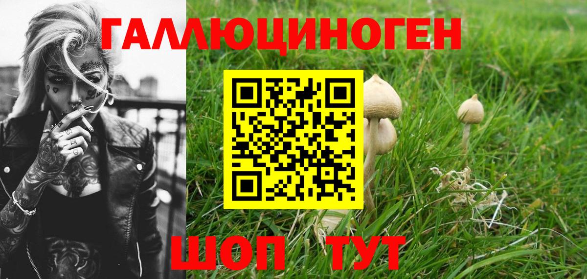 Галлюциногенные грибы Magic Shrooms Долгопрудный