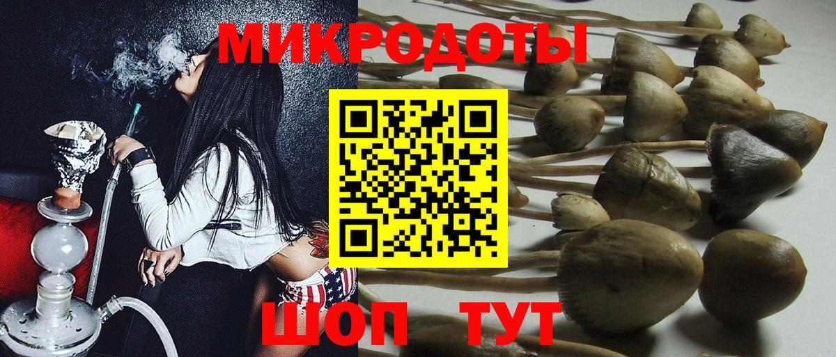 Псилоцибиновые грибы Psilocybe  Вход с VPN  Долгопрудный 